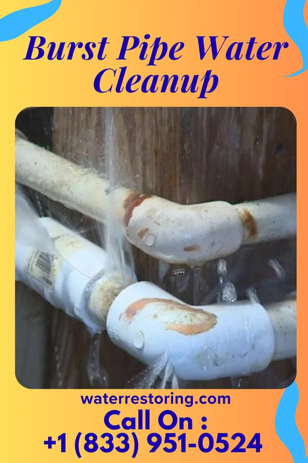 Burst Pipe Water Cleanup in Beacon, IA