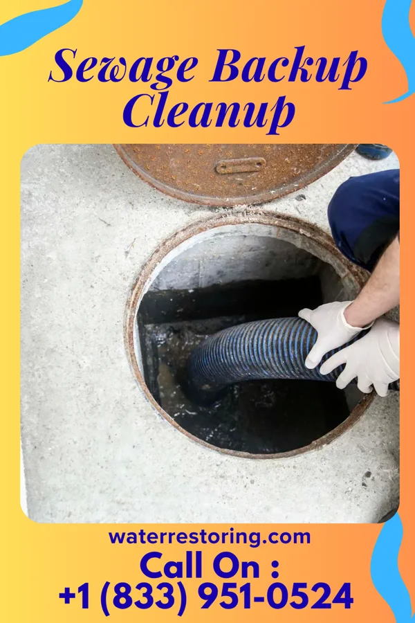 Sewage Backup Cleanup in Beacon, IA